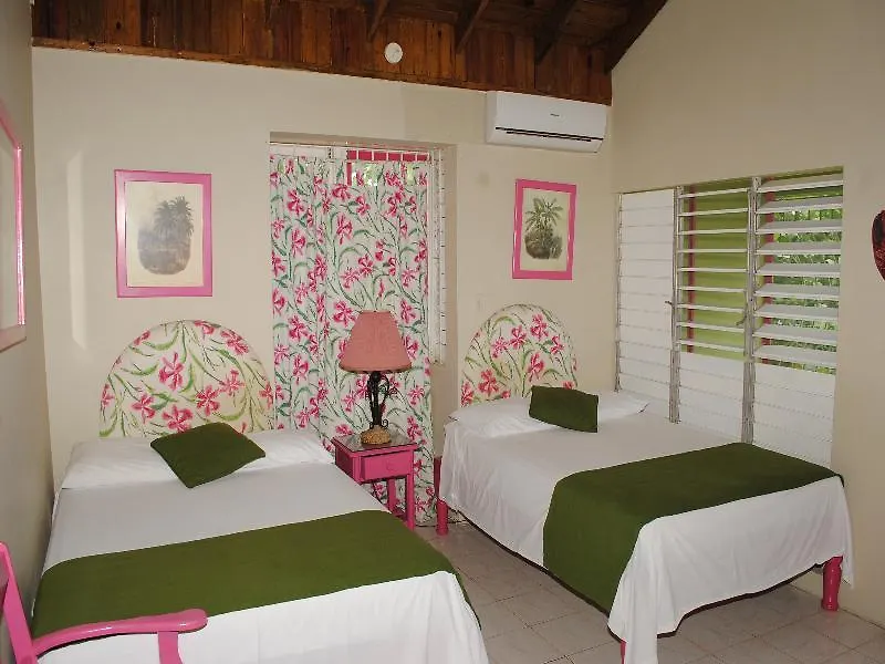 Oasis Resort Negril Hotel